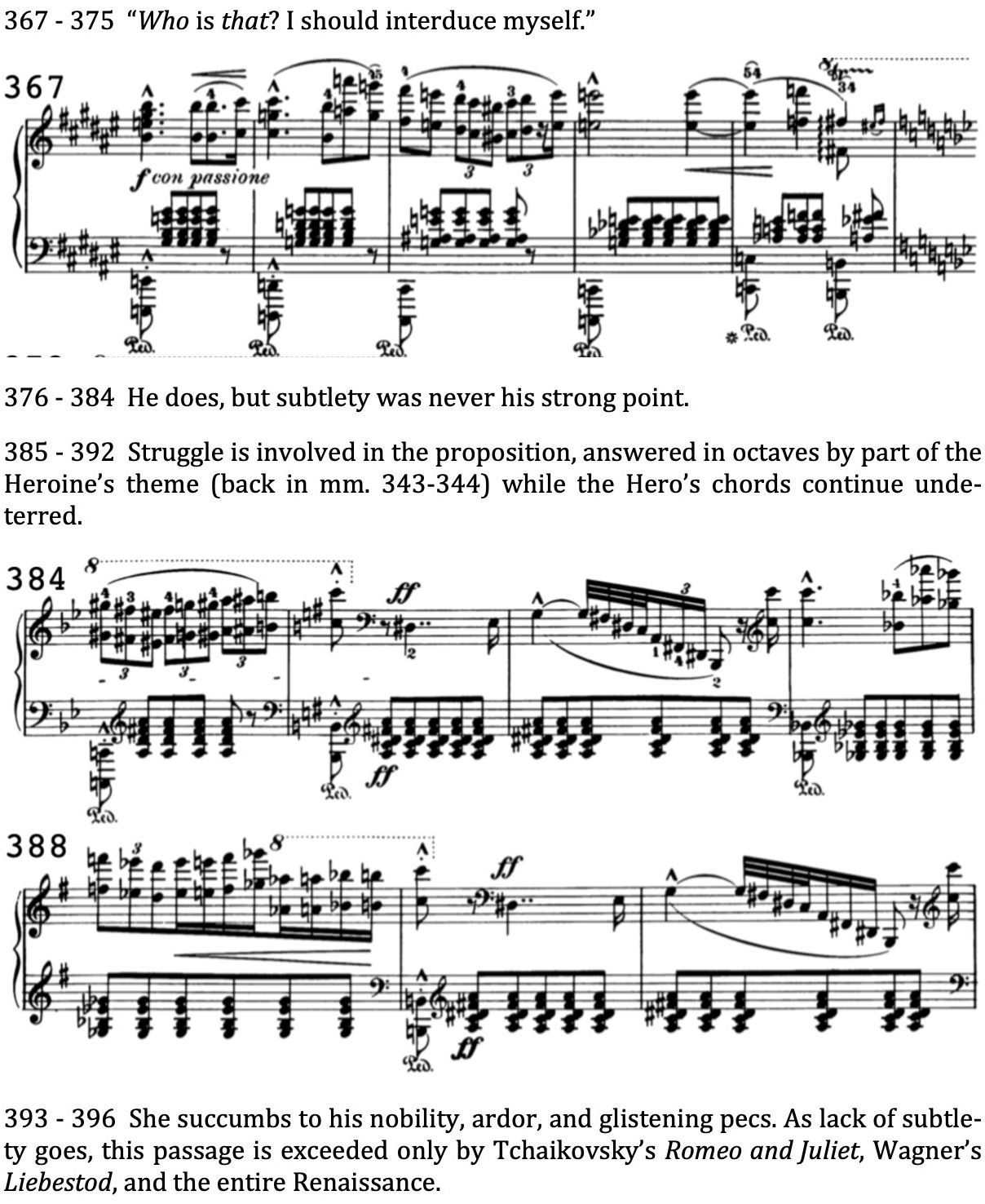 Liszt Sonata Web 12.jpeg