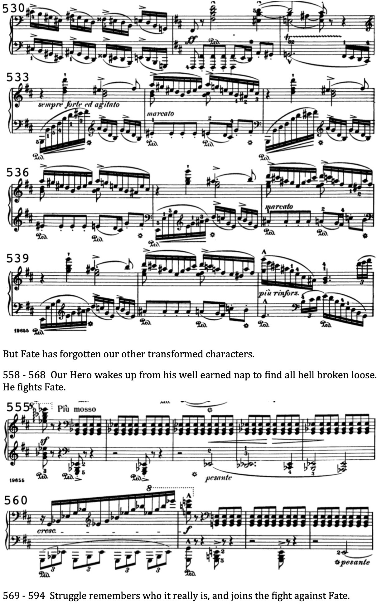 Liszt Sonata Web 16.jpeg