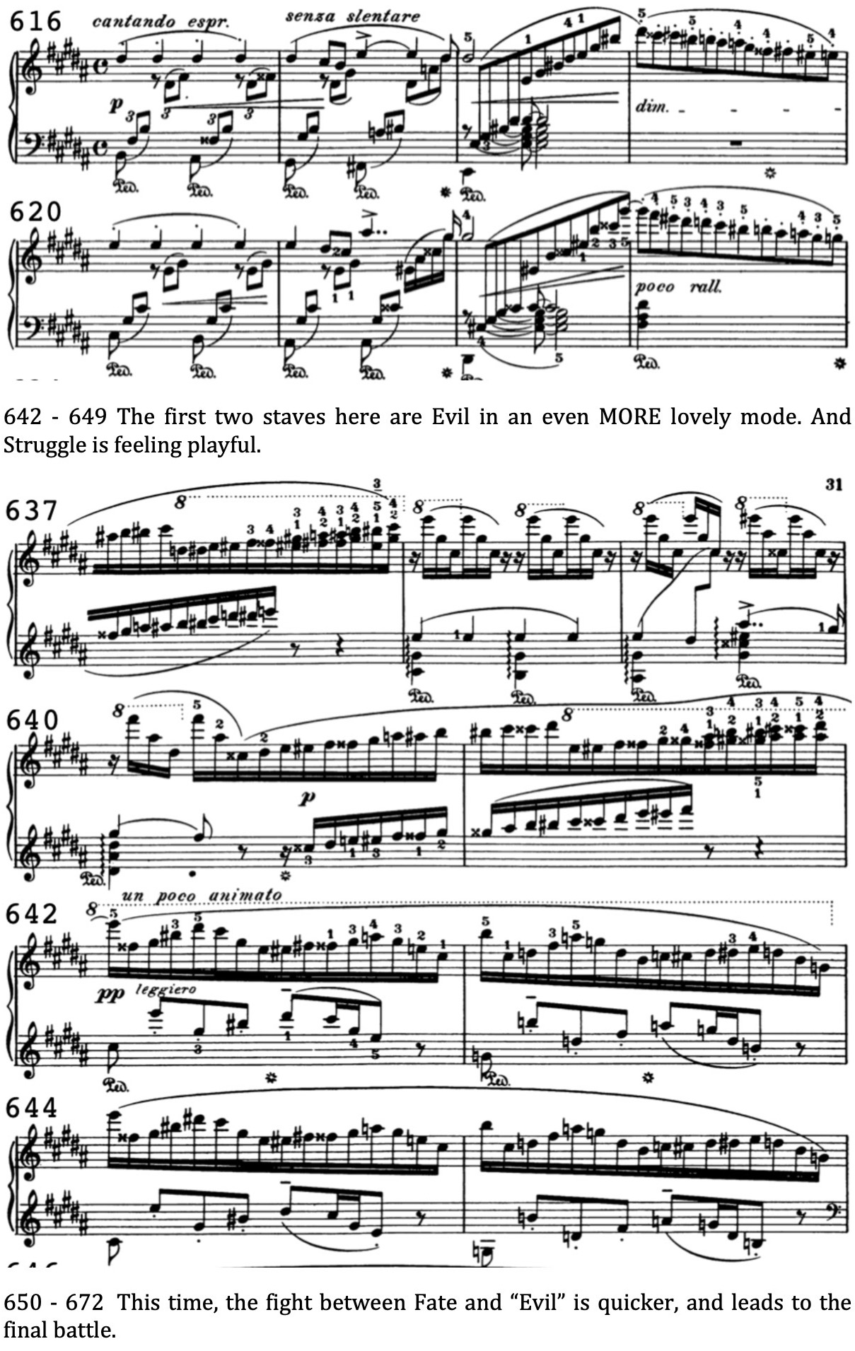 Liszt Sonata Web 18.jpeg