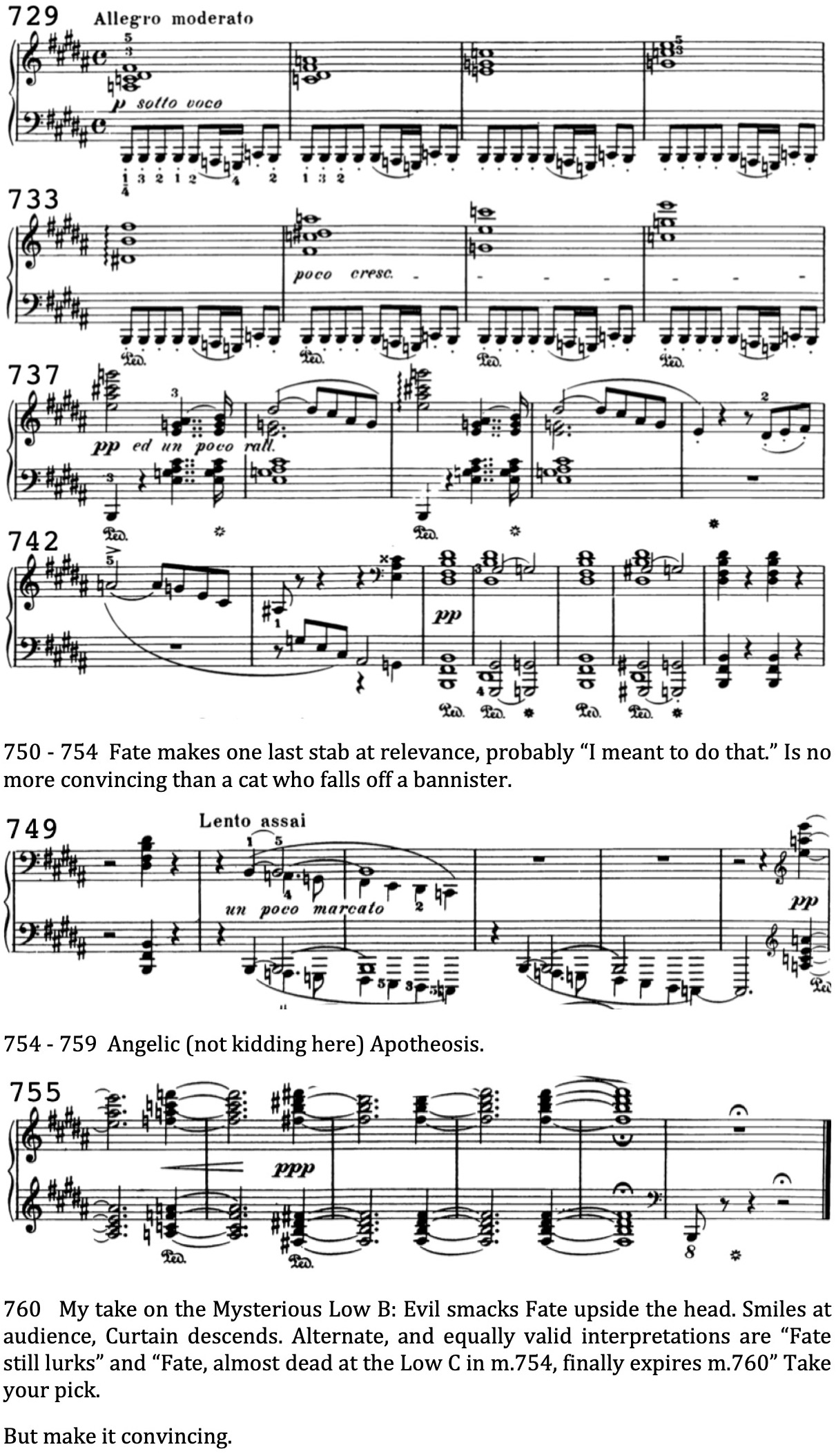 Liszt Sonata Web 22.jpeg