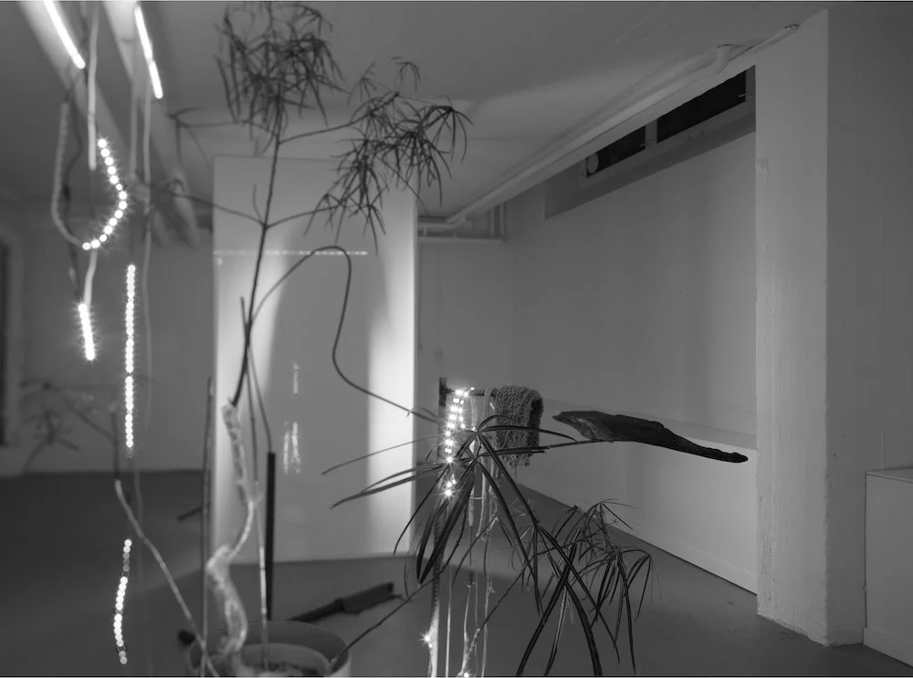 ButWhoSleepsHere011 -web.jpg