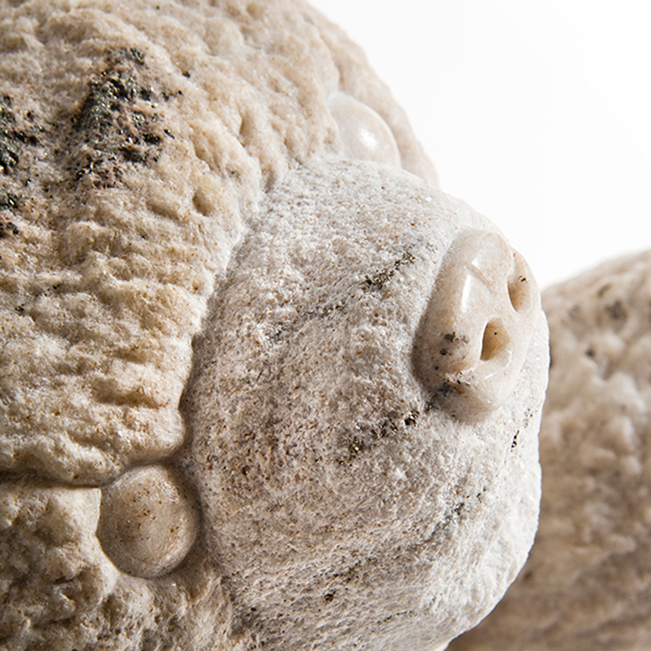 Detail of a hand-carved marble teddy bear by Sebastian Martorana.