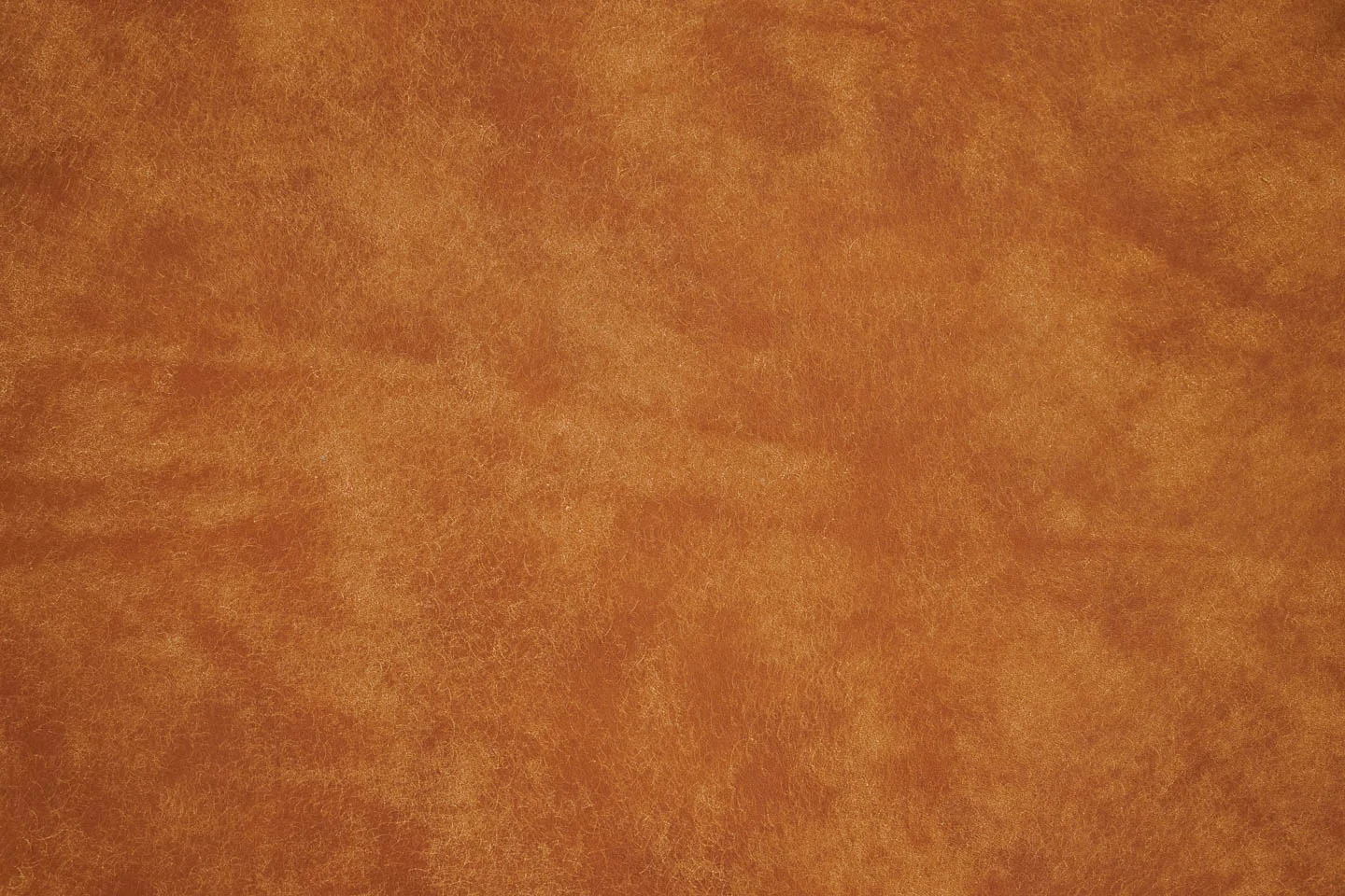 Pueblo in Tan
