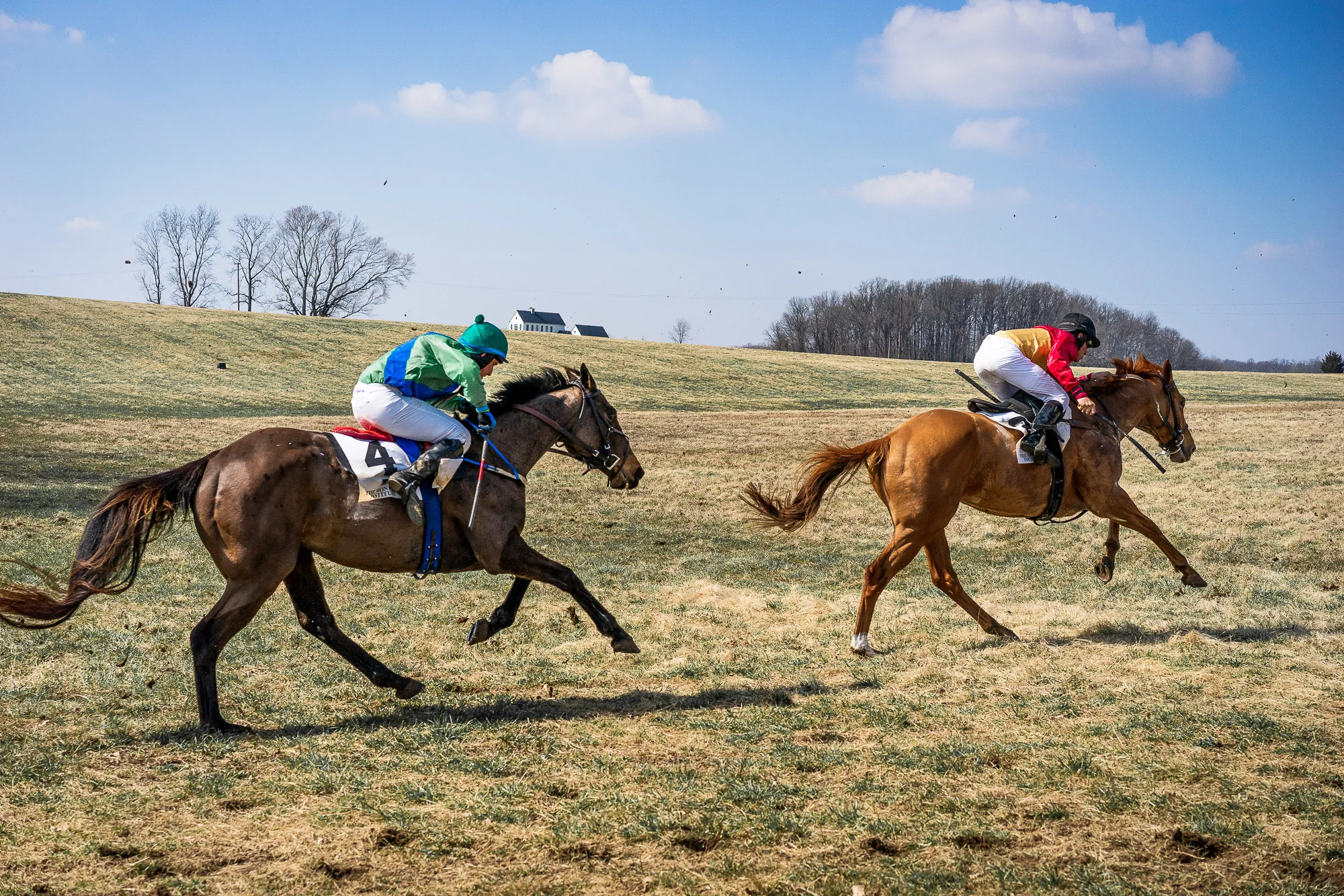 20190406-_DSC4514.jpg
