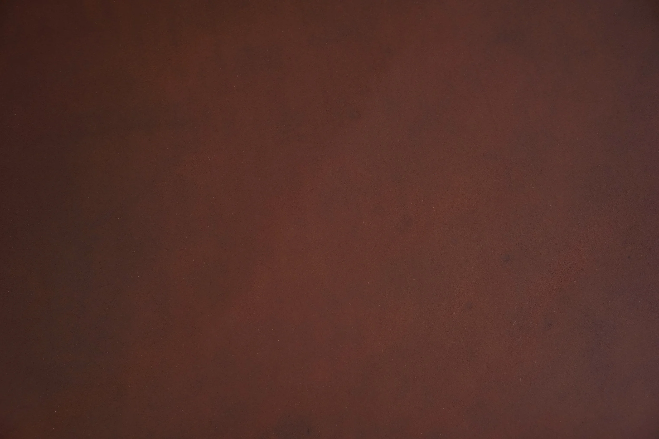 Minerva Liscio in Dark Brown