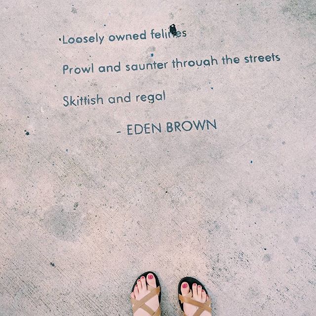 Loosely owned felines⁣
Prowl and saunter through the streets⁣
Skittish and regal⁣
⁣
- Eden Brown⁣
⁣
😸 Key West is home to not just roaming cats (many of them six-toed descendants of Hemingway's beloved cats). ⁣
⁣
🐓 The chickens and roosters of Key 