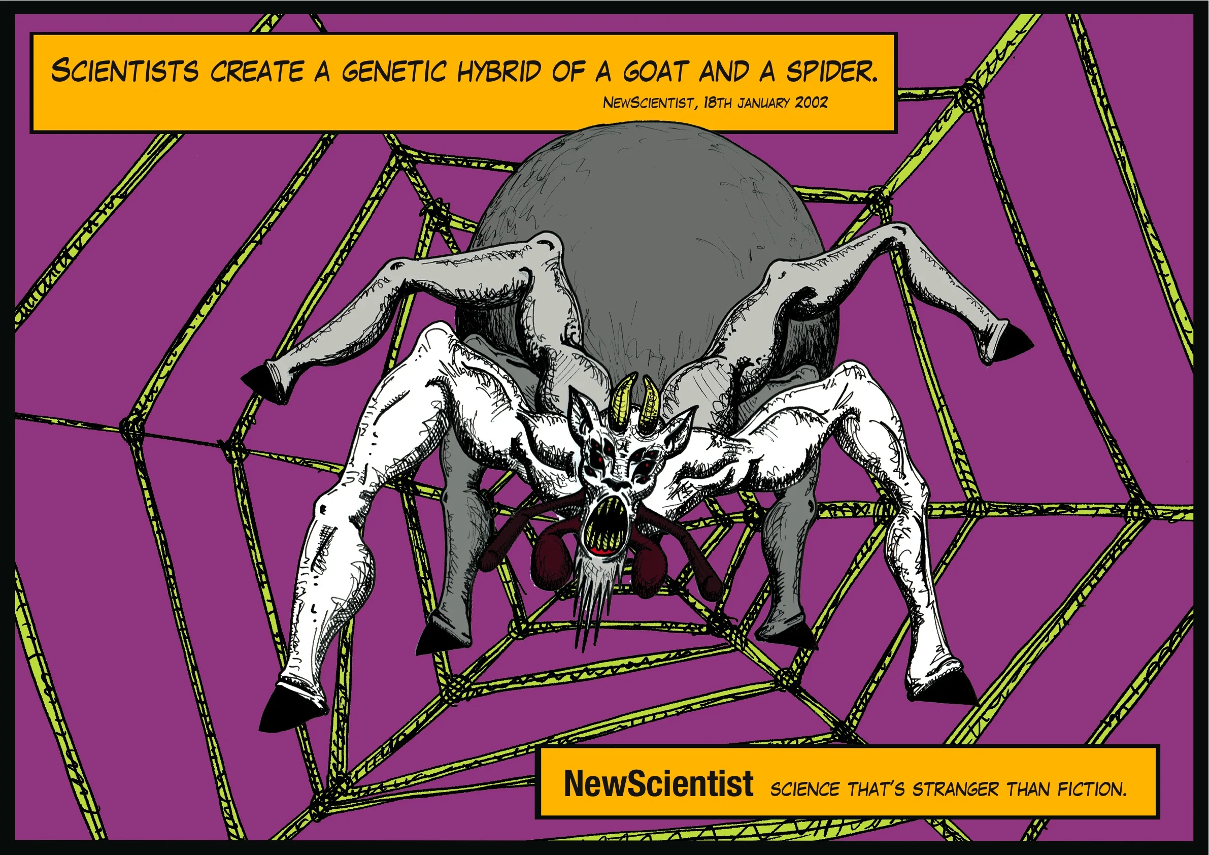 spidergoat short header.jpg