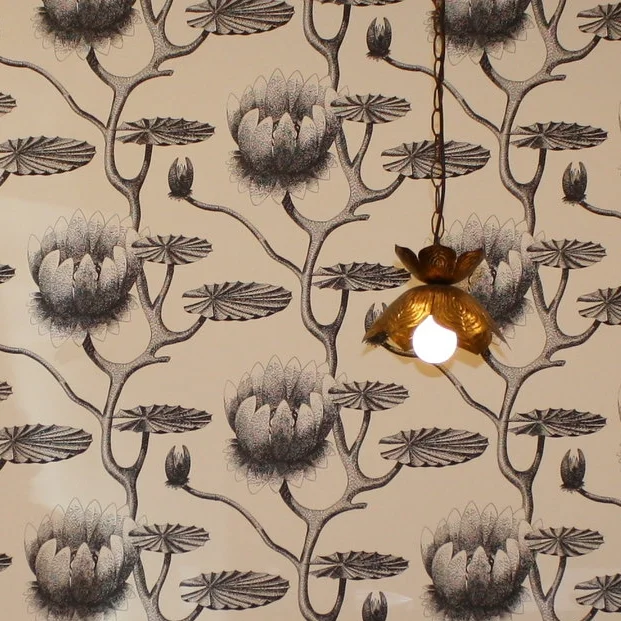 Cole & Son Wallpaper in Ashland Salon