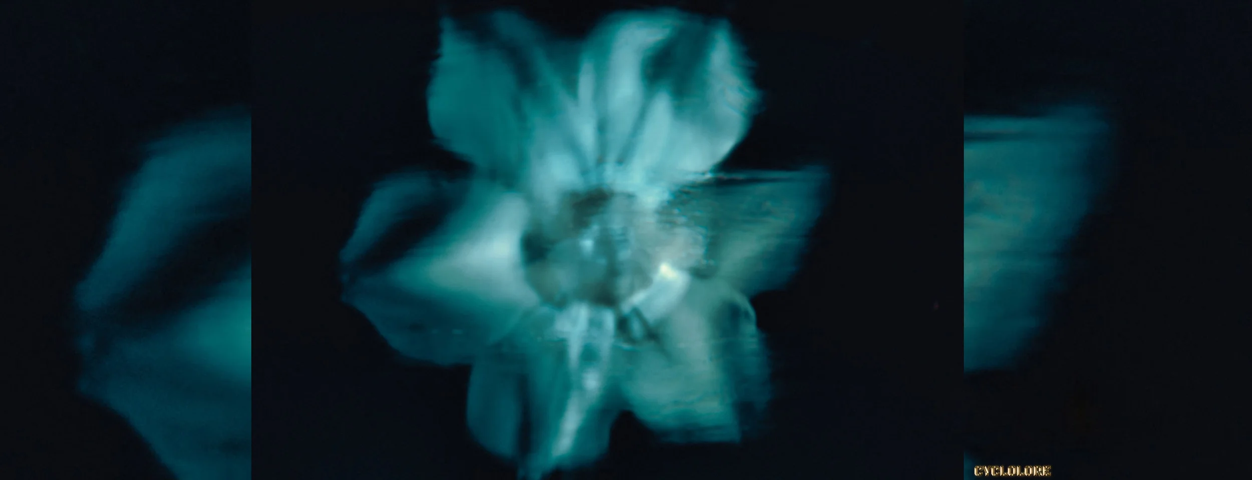 A List of Six ‘Quantum’ Fundamentals that Should be Intuitive in the Brain’s Daily Wiring