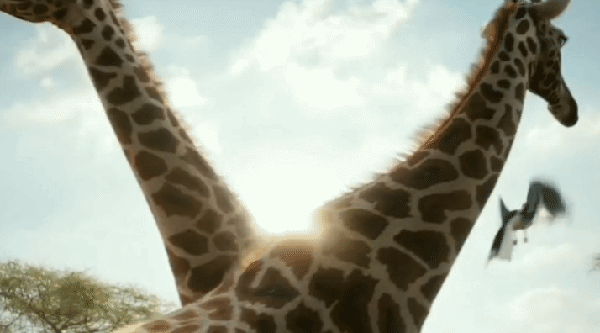 Courtesy of YouTube/ @Beyoncé SPIRIT (From Disney’s “The Lion King”) Music Video