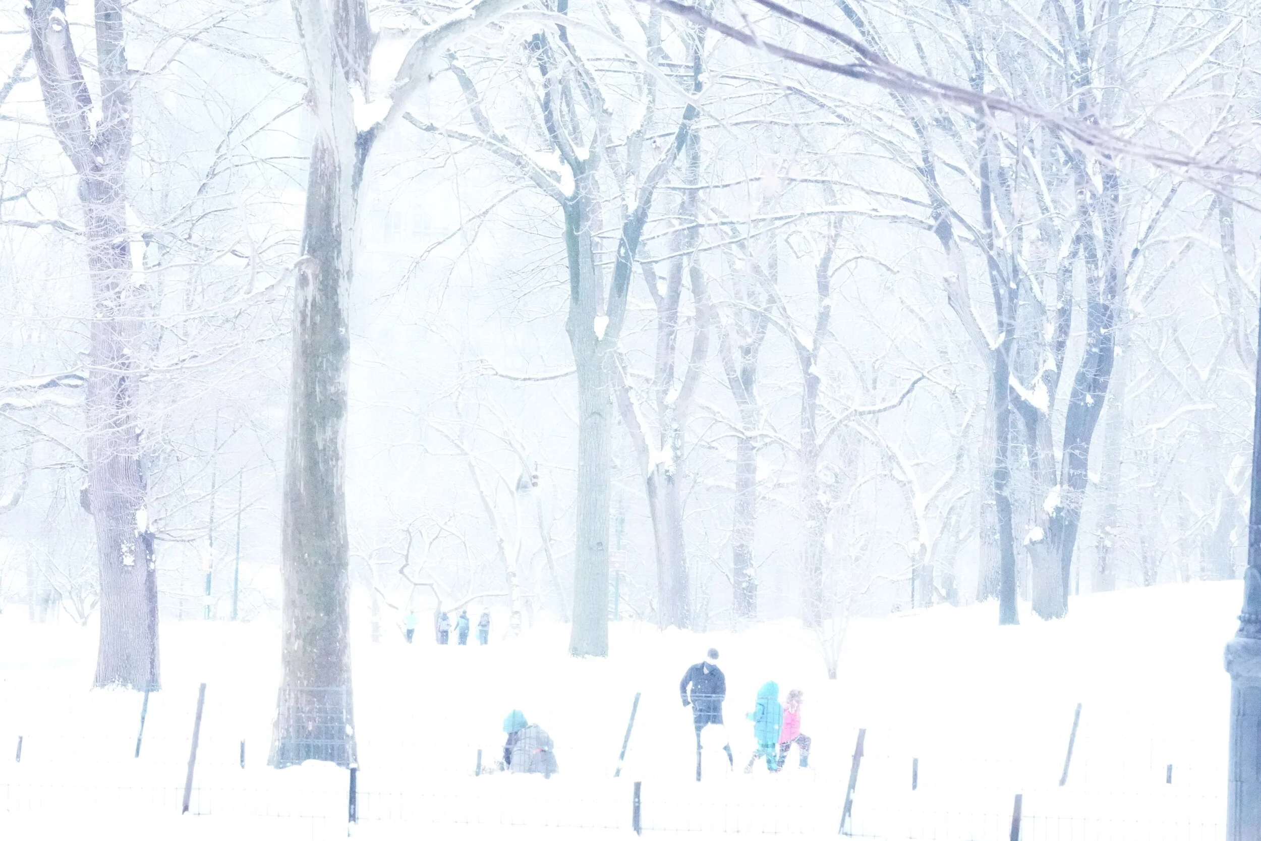 Icy Park 2021 (Central Park - Blizzard 2021 Aftermath -9