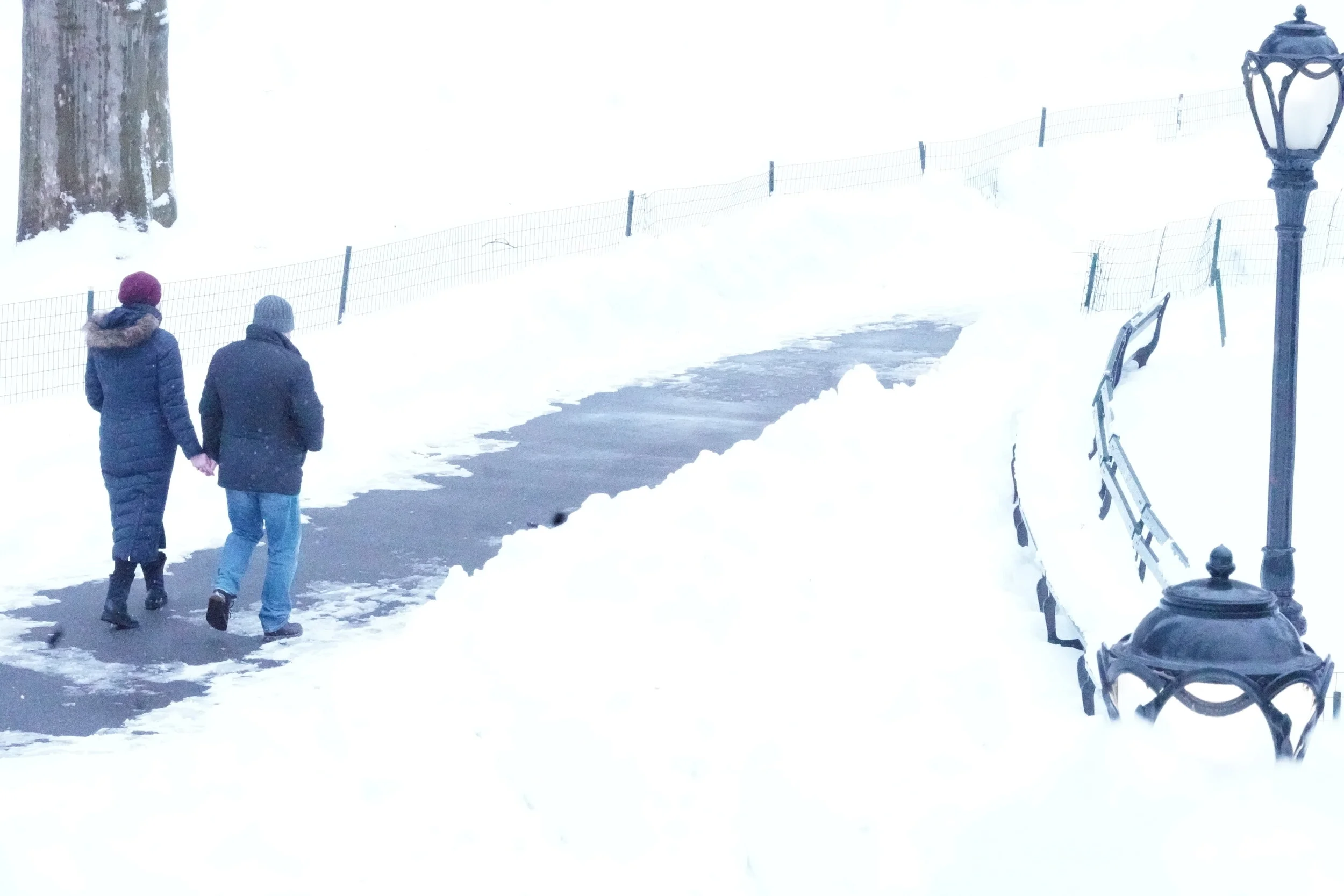 Icy Park 2021 (Central Park - Blizzard 2021 Aftermath -3