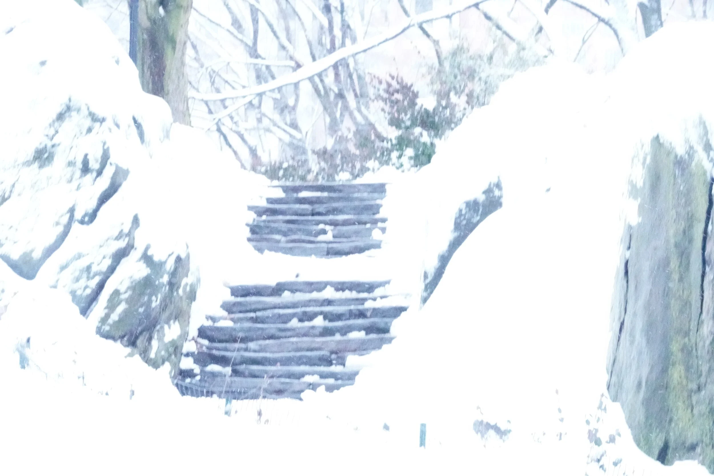 Icy Park 2021 (Central Park - Blizzard 2021 Aftermath