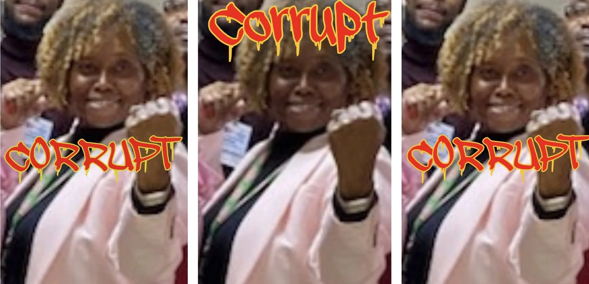 The Corrupt Nature of Terri Butler; OBH Brookdale Hospital's Financial Department Manager