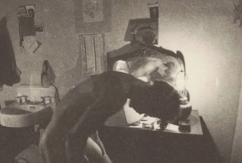 The Beauty of Imperfection: Nancy Rexroth’s Dreamlike Camera World
