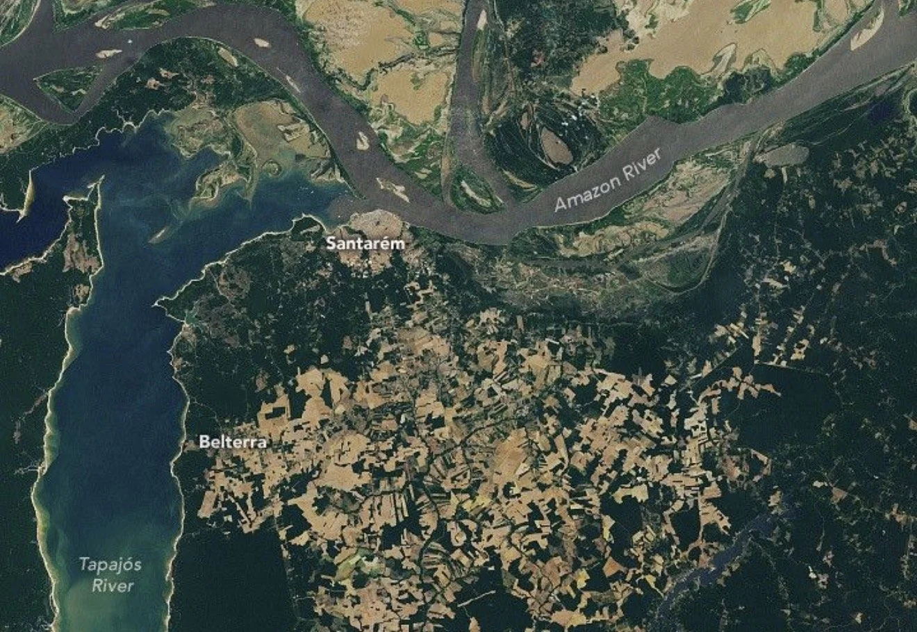 The Amazon Fires a Satellite Map Can Miss