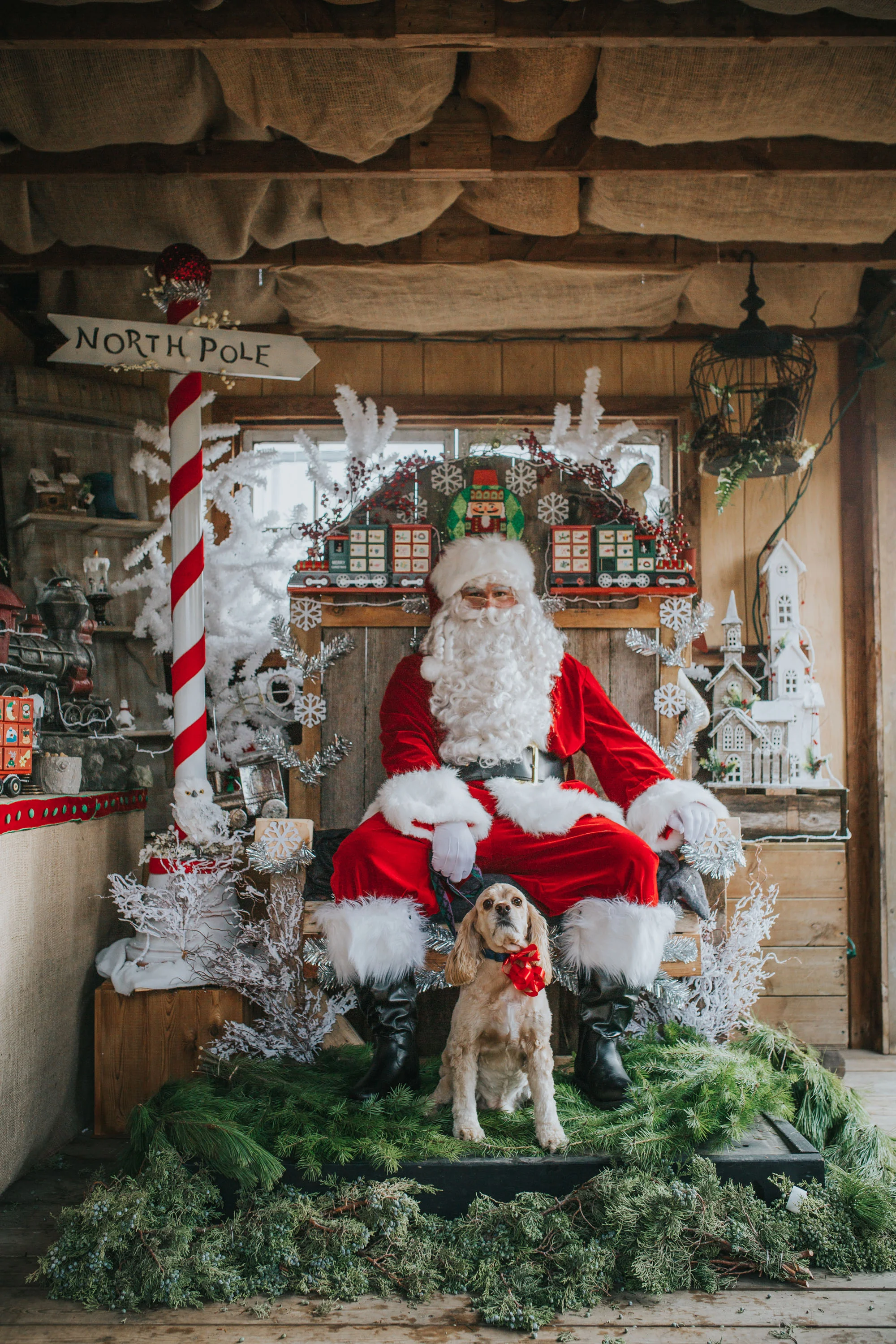 tcf_blush_santaphotos2016_006.jpg
