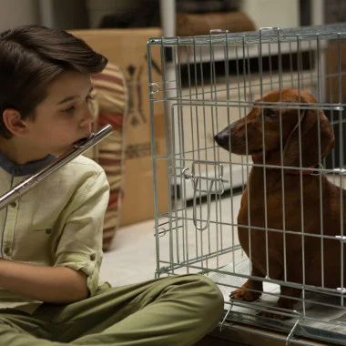 weiner-dog-movie-image-e1453523762558.jpg