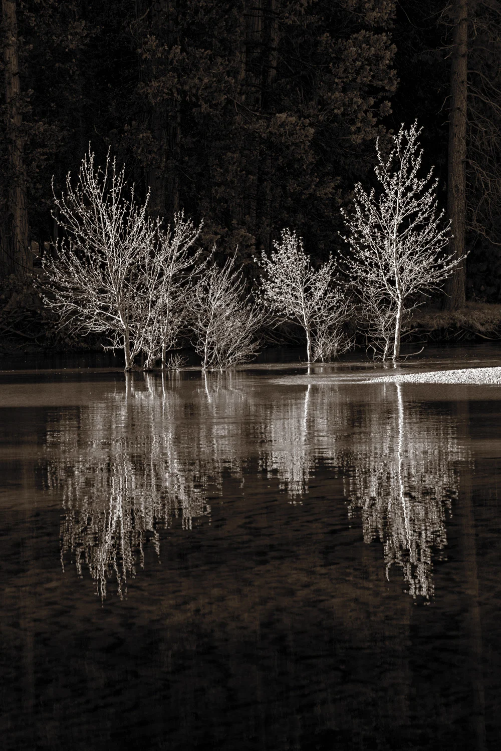 reflections-on-the-merced-1.jpg