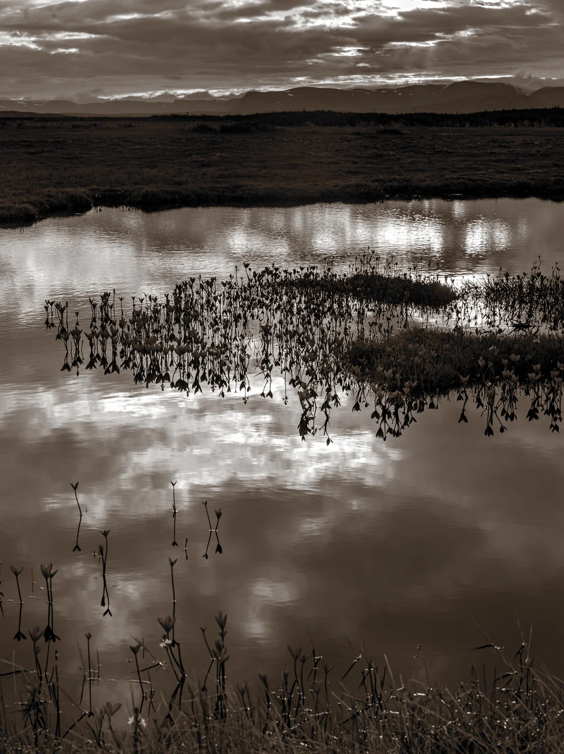 reflections-on-the-merced-1.jpg