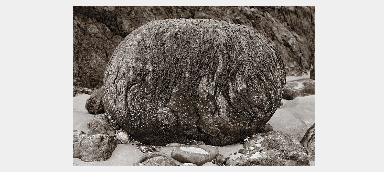Medusa Stone
