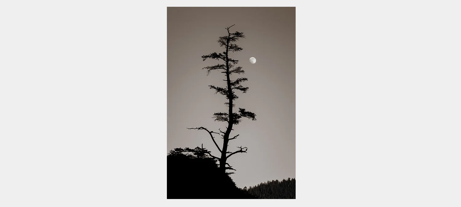 Sister Moon
