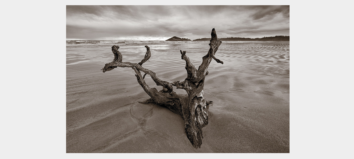 Time and Tide