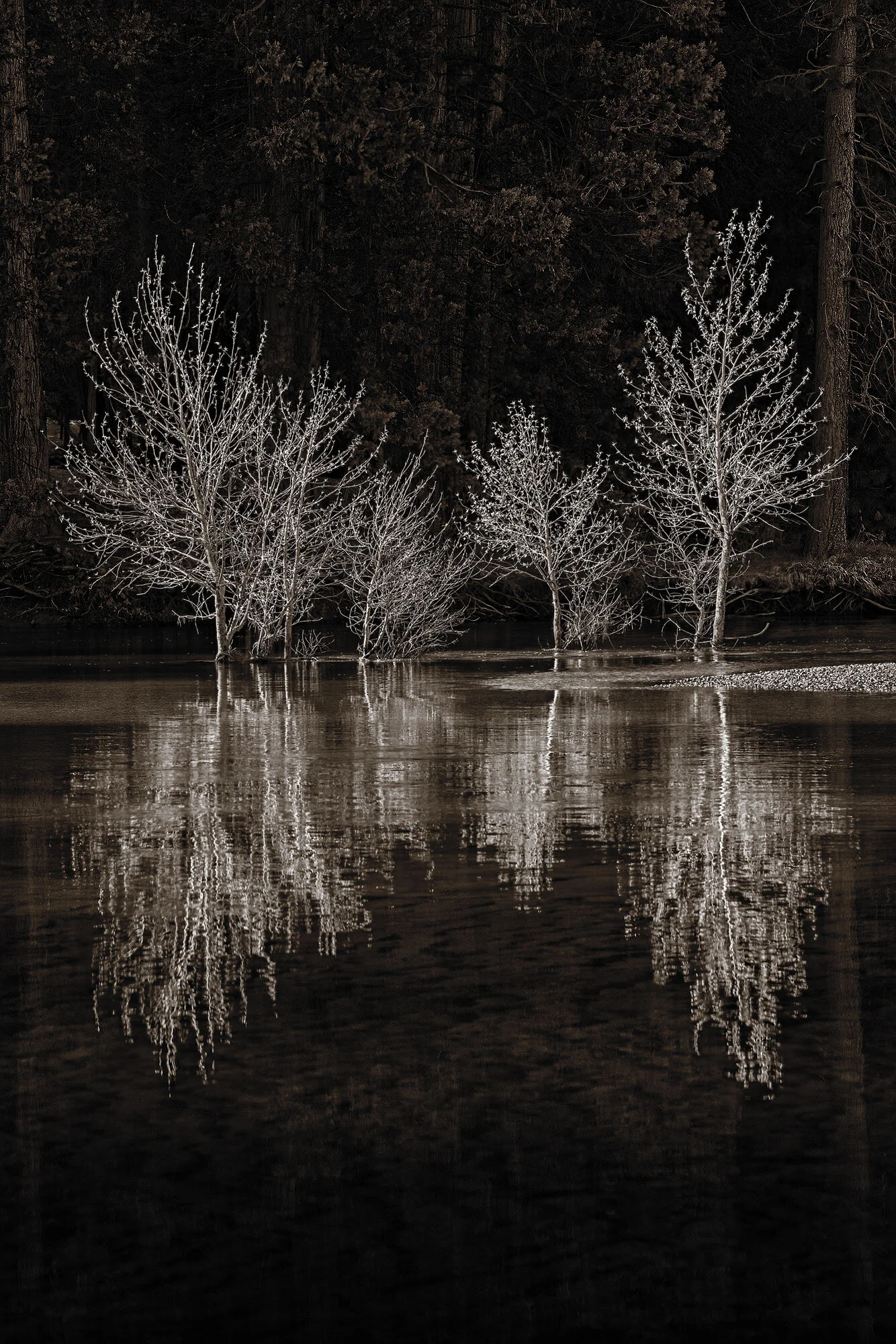 Reflections on the Merced