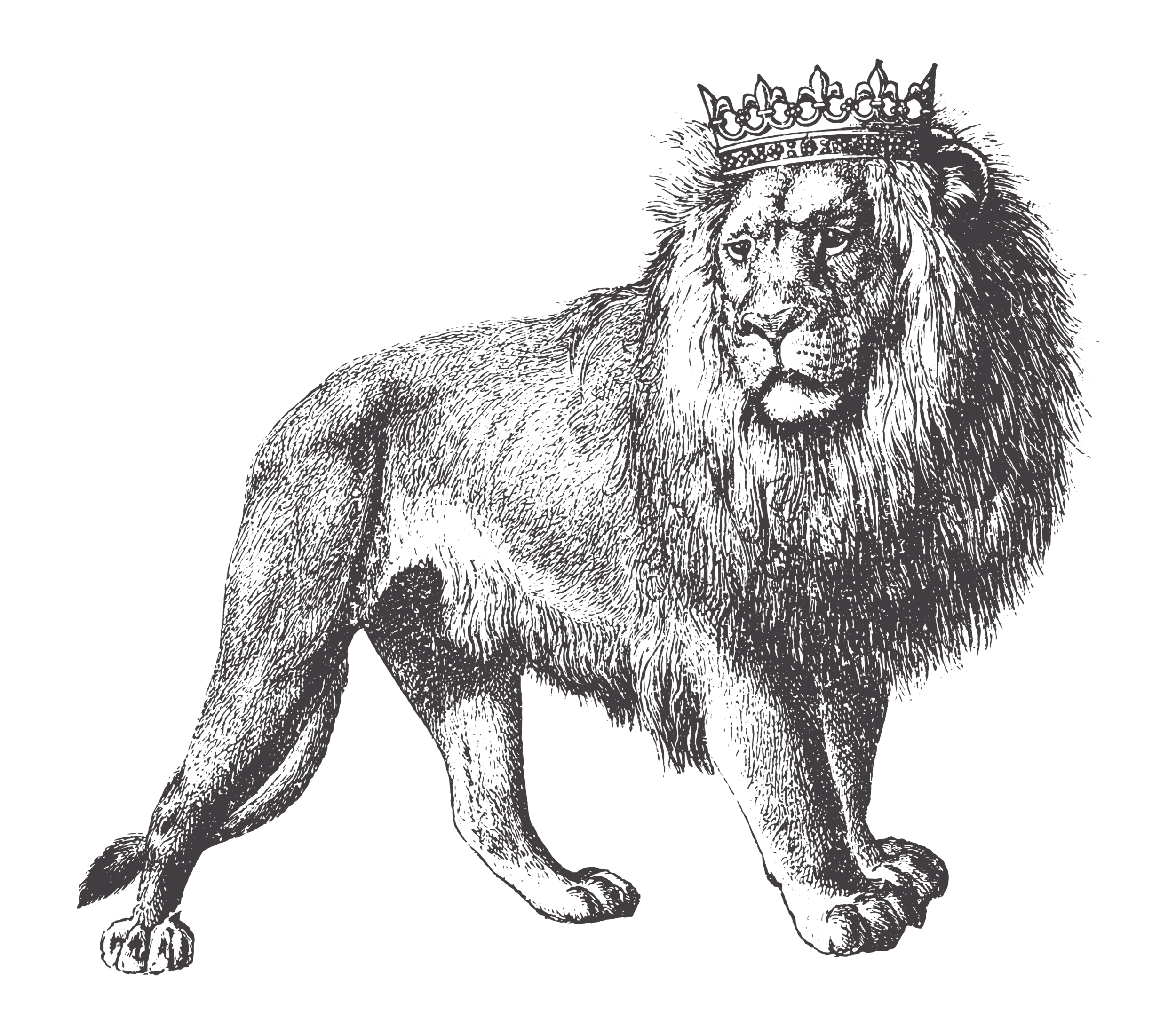 KL_Engraving_Body.png