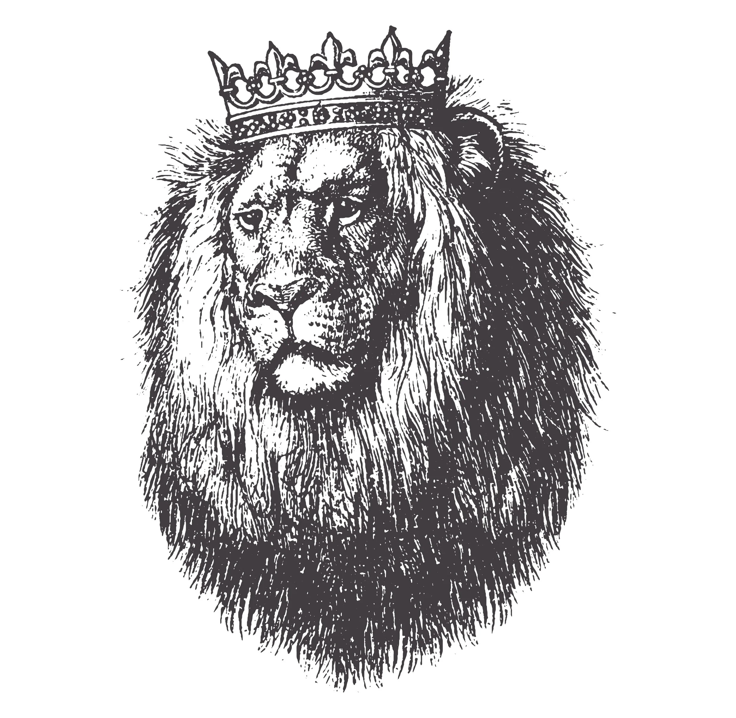 KL_Engraving _Head.jpg