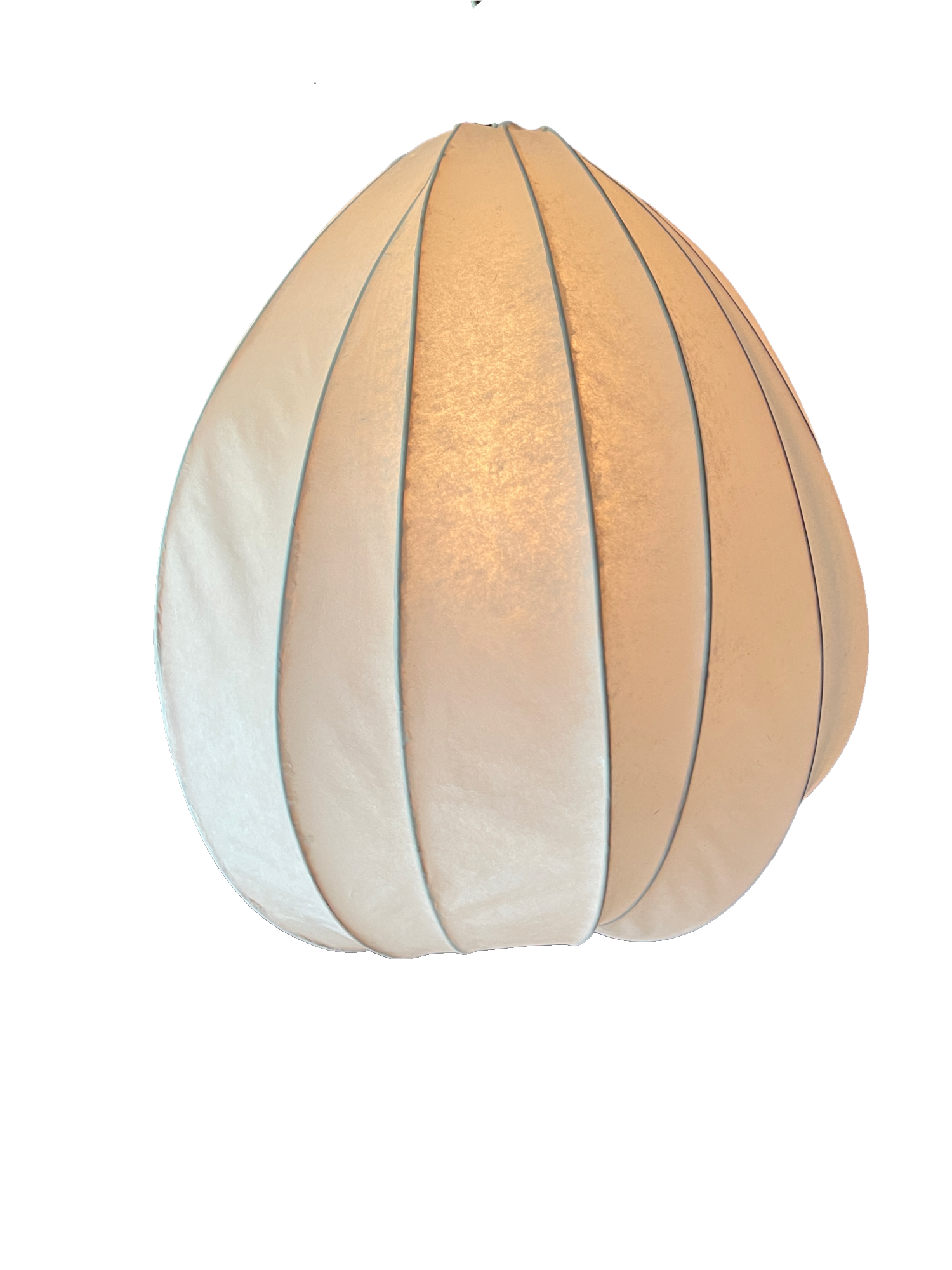 IMG-1605.PNG