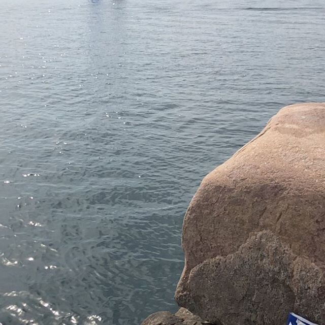 Sm&aring;sk&auml;r med sm&aring;folket 💙🌊 T&auml;nk att jag badat h&auml;r s&aring; l&auml;nge jag kan minnas. T&auml;nk att det &auml;r lika underbart varje sommar. T&auml;nk att sm&aring; m&auml;nniskor v&auml;xt s&aring;pass att jag kan ligga oc