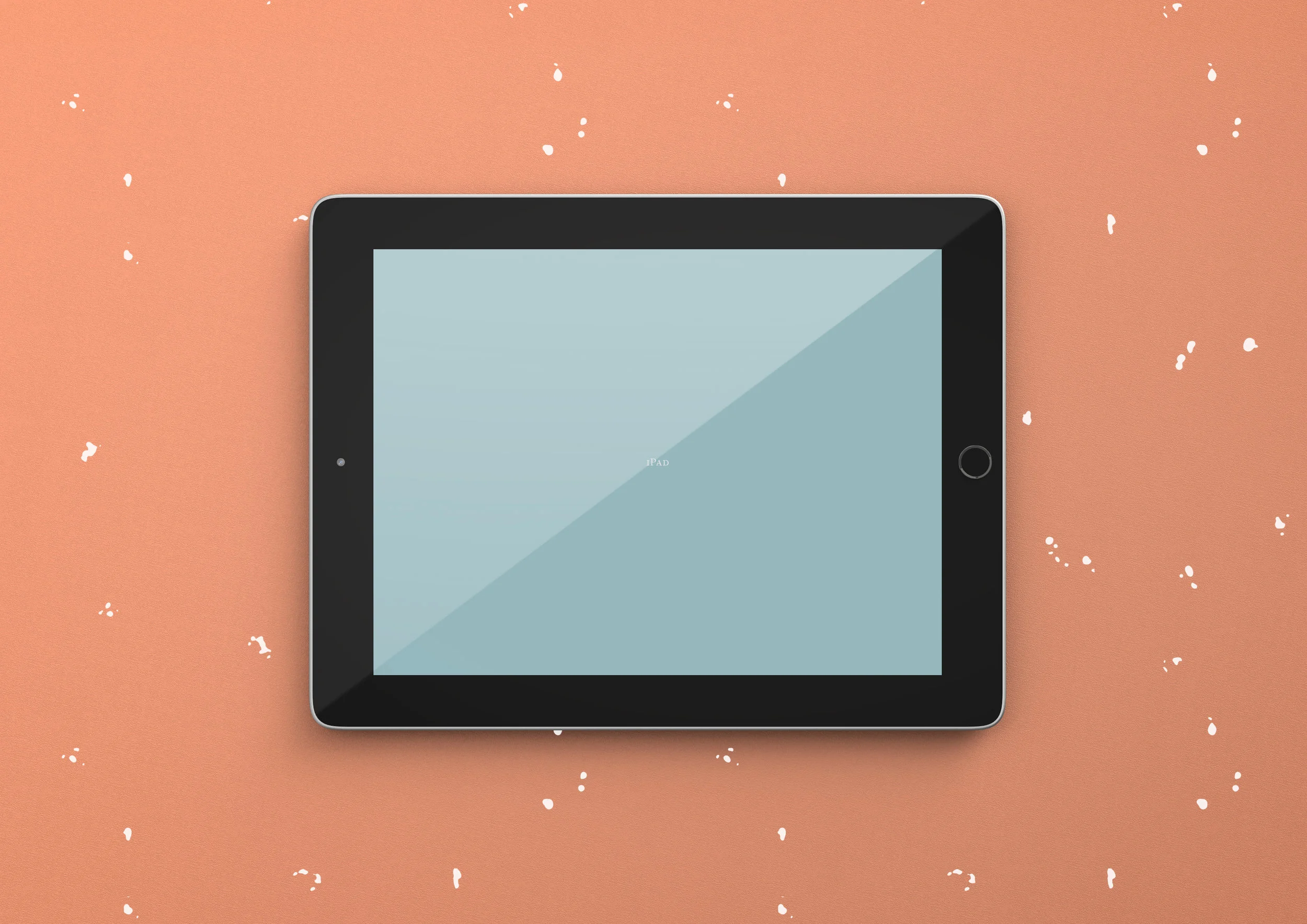 iPad example