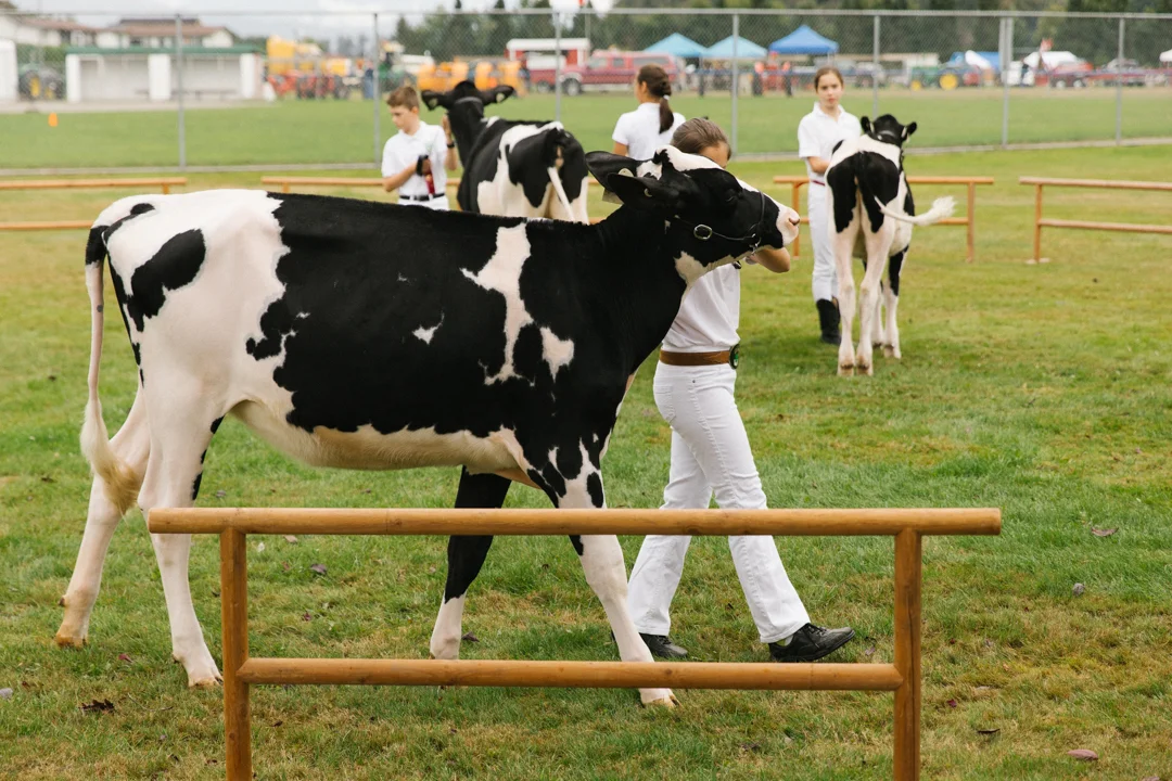 WEB_OWEN_FALLFAIR-7288.jpg