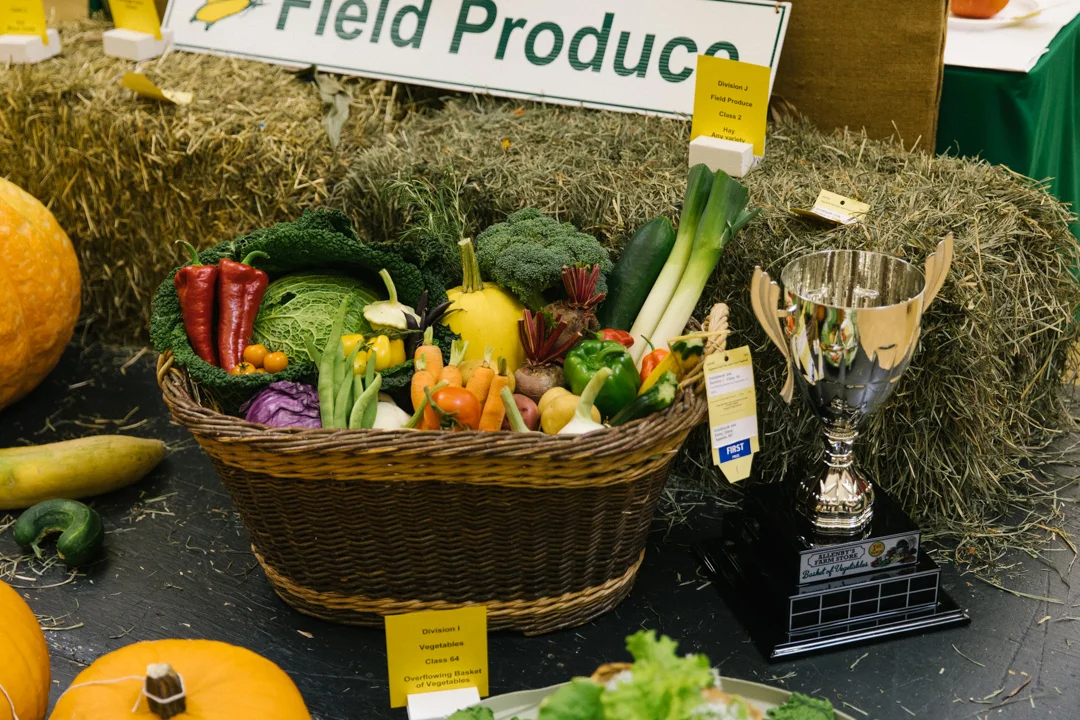 WEB_OWEN_FALLFAIR-7428.jpg