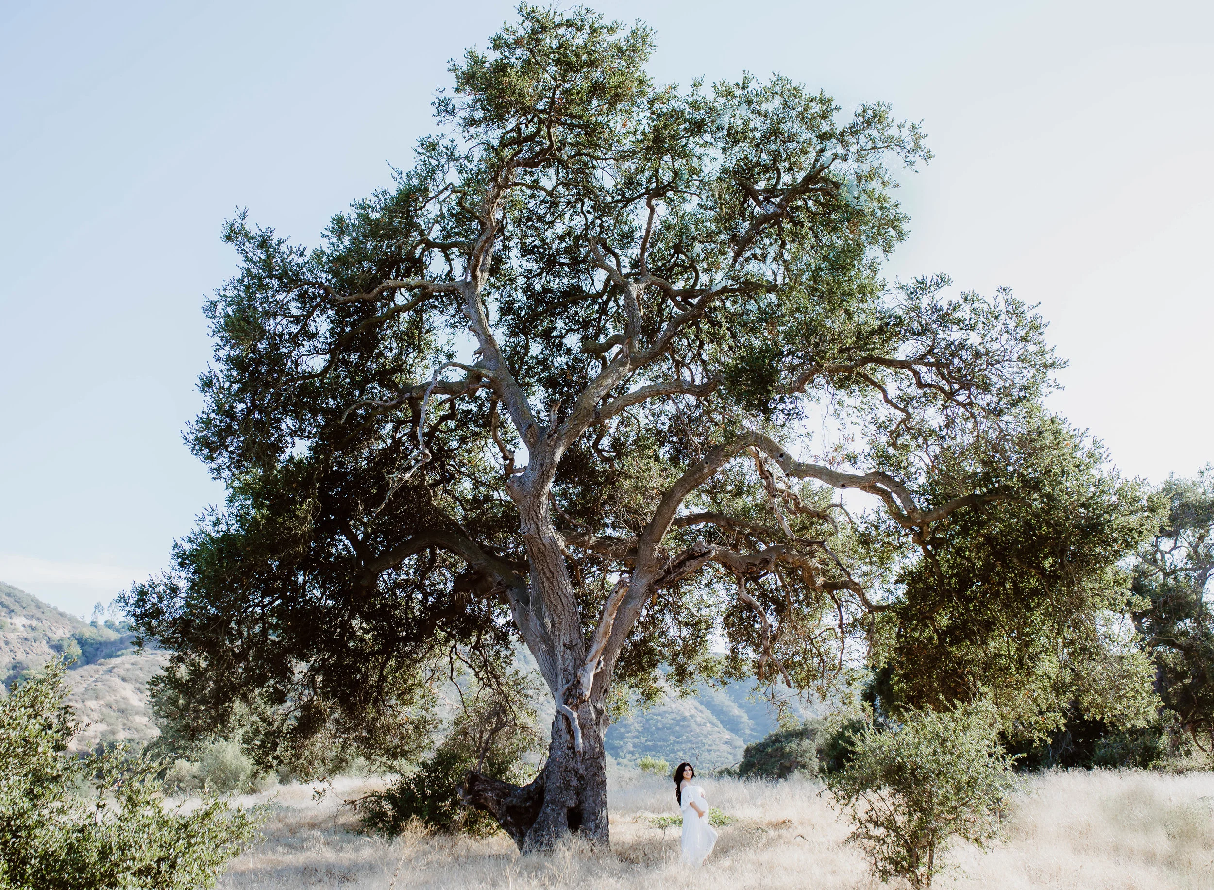 W44A0410-Edit.jpg