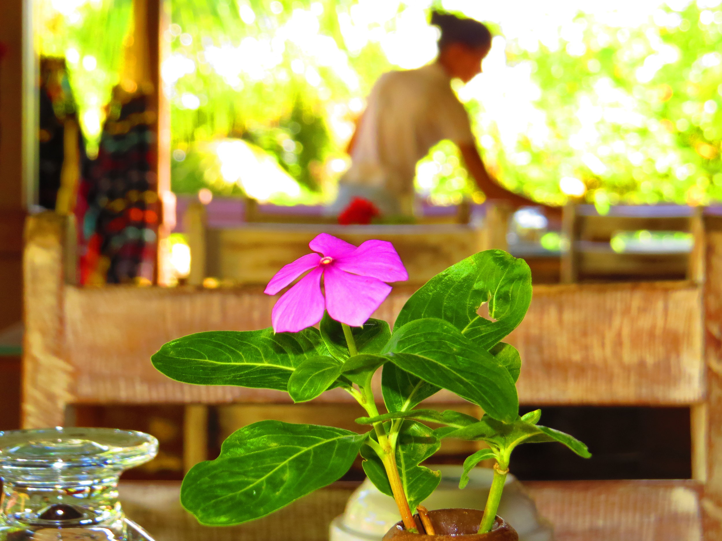 Área Social da Pousada Naiepe, em Fernando de Noronha