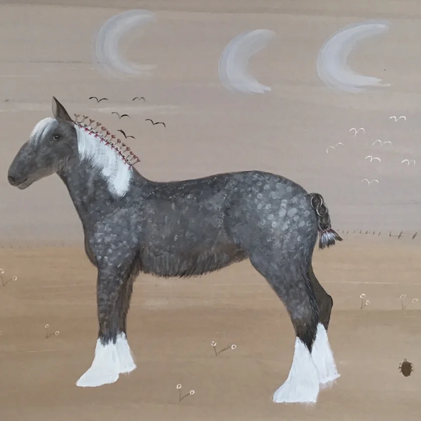 A heavy horse ready for the show | SOLD