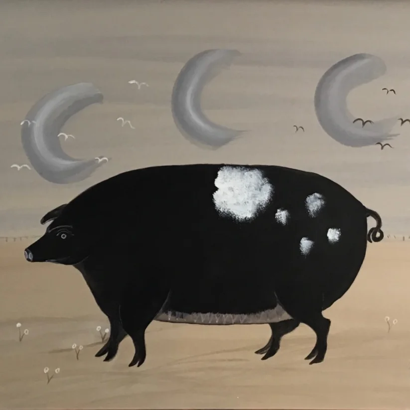 A very big black pig with white spots | SOLD