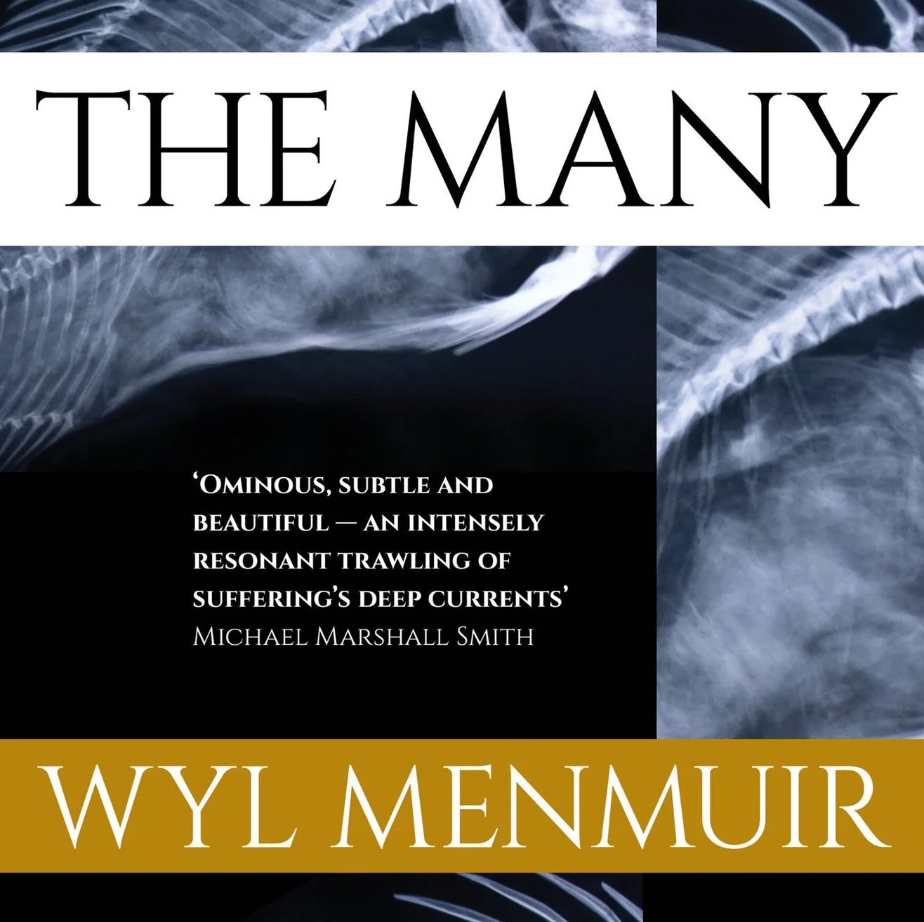 Public Lecture: Wyl Menmuir on Fiction and the Search for Truth