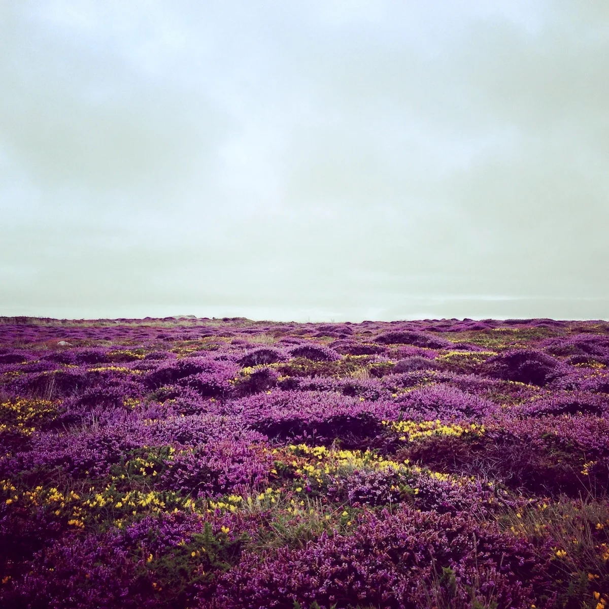 Comment: A Writer's Landscape, by Gabby Willcocks
