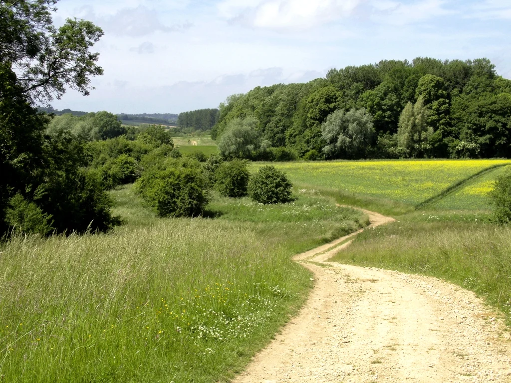Uncanny Readings: Walking out/Walking with