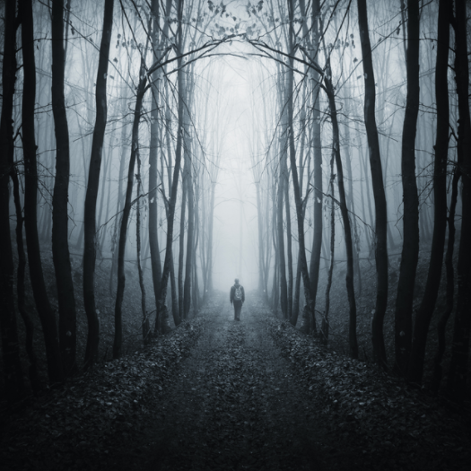Review: The Helland Reckoning, by Adrian Martin