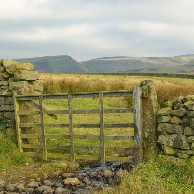 Wuthering Heights, Life and Growth