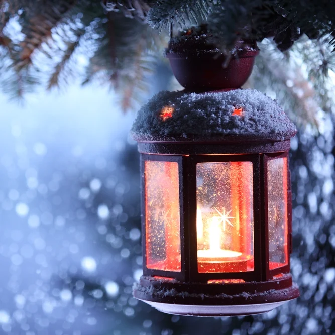 The Art of Wintering: On the Most Useful Season for a Writer
