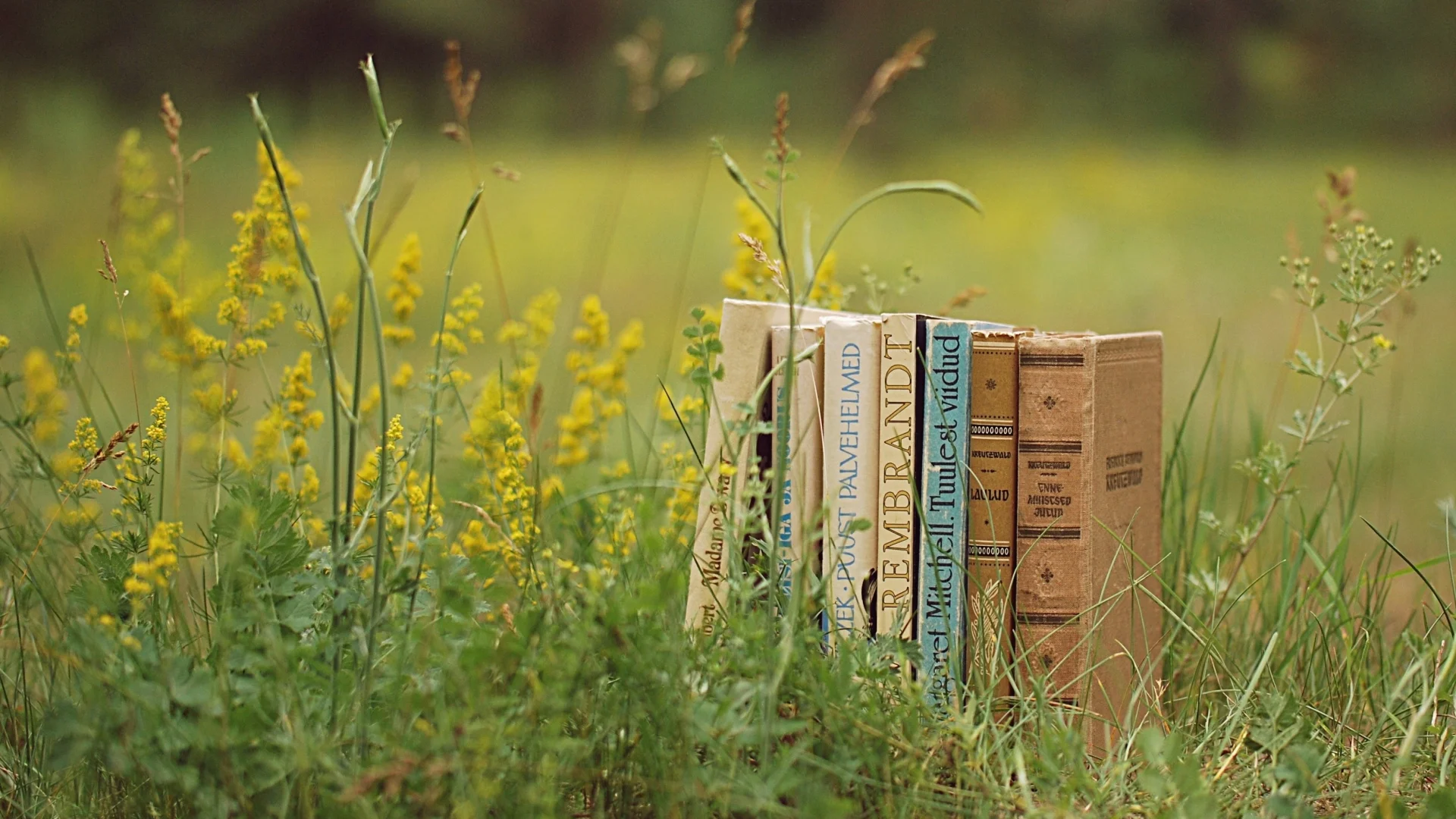 Upcoming Literary Festivals in and Around Cornwall