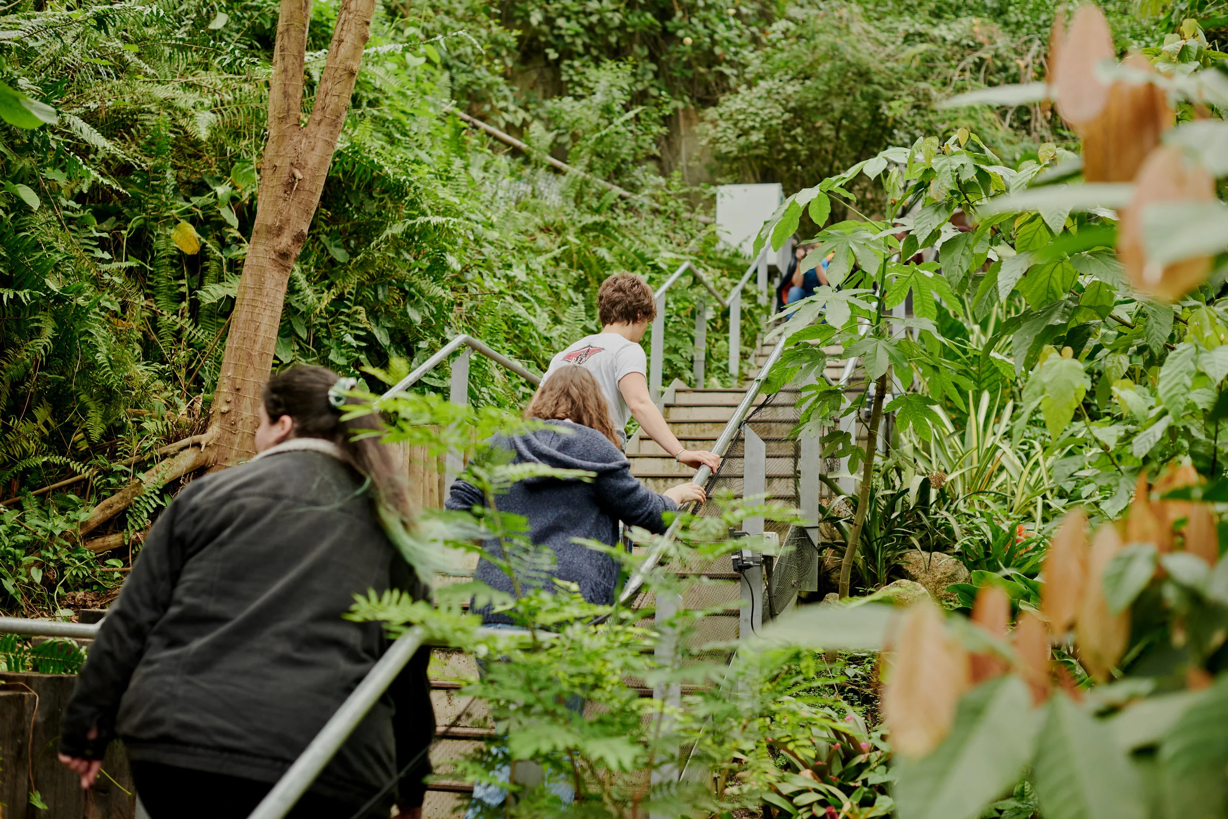 Harry Lawlor - Reportage__004.jpg