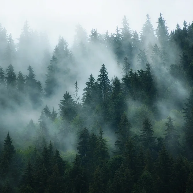 Alice Oswald: Nature Poetry and Climate Change