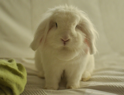 An Ode to Friendship (of the quieter kind)