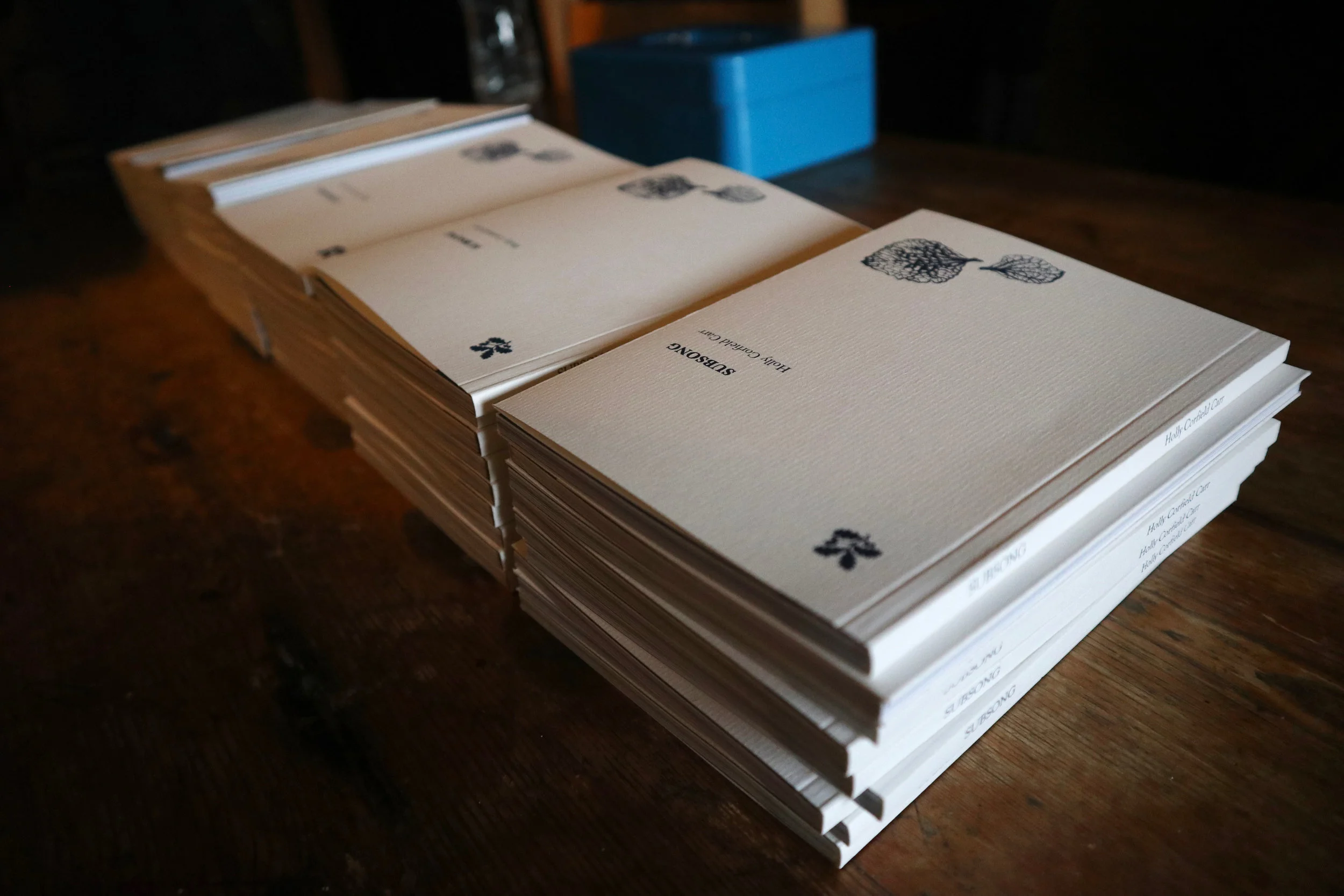 Seeing ‘Subsong’ Soar | Notes from Holly Corfield Carr’s Book Launch